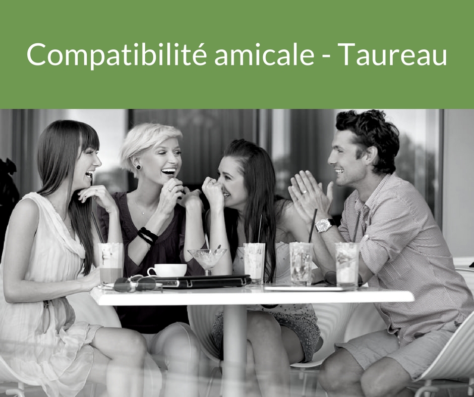 Votre compatibilité amicale - Taureau